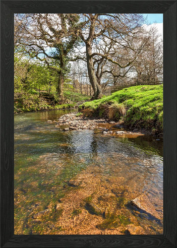 River noe vicino - river, in
